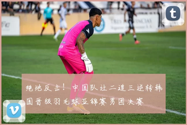 绝地反击！中国队让二追三逆转韩国晋级羽毛球亚锦赛男团决赛